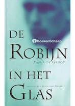 De Robijn in het Glas Maria de Groot, Boeken, Verzenden, Zo goed als nieuw