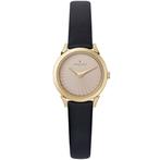 Horloge Dames Pierre Cardin CPI-2514, Verzenden, Nieuw