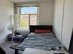 Kamer Hertogsingel in Maastricht, Overige soorten, Limburg