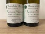 2022 Domaine Marc Morey & Fils Les Chenevottes -, Nieuw