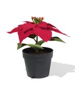HEMA Kunst kerstster 20cm in pot, Diversen, Kerst, Verzenden, Nieuw