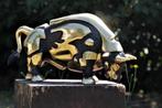 Beeld, black bull - 30 cm - Brons