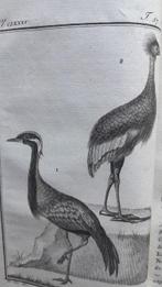 Buffon - Histoire naturelle,tome 57-les oiseaux échassiers /