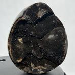 Septaria Wild Black Crystals Fine Large Wild Septaria Black