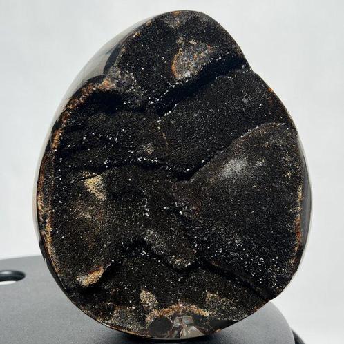 Septaria Wild Black Crystals Fine Large Wild Septaria Black, Verzamelen, Mineralen en Fossielen