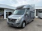Renault Master STX Hengstenuitvoering Automaat 2020, Ophalen, Gebruikt, Polyester, 2-paards trailer