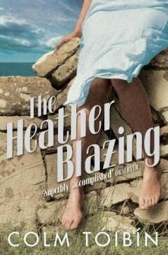 The Heather Blazing 9780330321259 Colm Toibin, Boeken, Overige Boeken, Gelezen, Verzenden