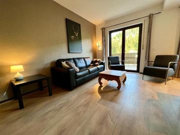 TOP Locatie VAKANTIEHUIS SAUERLAND WILLINGEN beschikbaar voor biedingen