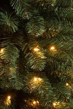 Black Box Trees Charlton Pilar kerstboom led groen warm wit, Verzenden, Zo goed als nieuw