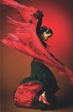 Lonely Planet Discover Spain dr 4 9781743214640, Verzenden, Gelezen, Lonely Planet