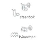 Zilveren mini sterrenbeeld oorstekers, Verzenden, Nieuw, Zilver