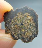 Lodranite meteoriet. NWA 17905. Primitieve achondriet - 1.75, Verzamelen, Mineralen en Fossielen