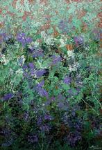 Mara J XL - Lavender Reverie, Antiek en Kunst