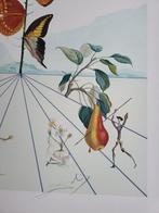 Salvador Dali (1904-1989) - Flordali II: La Rose Papillon