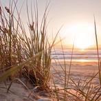Pvc Wanddoek Sunset Beach pro 2x2mtr, Tuin en Terras, Tuinwanddecoratie, Nieuw, Verzenden