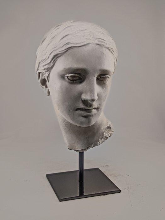 Figuur - Testa di Venere - 25 cm - Gips, Antiek en Kunst, Curiosa en Brocante