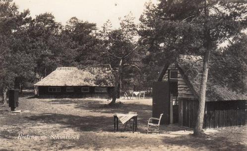 NUNSPEET - Kampeercentrum Saxenheim. Rietrug en Schuilhoek, Verzamelen, Ansichtkaarten | Nederland, Verzenden