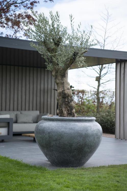 Sia  XXL 114x80 cm Anthracite, Tuin en Terras, Bloembakken en Plantenbakken, Nieuw, Beton, Rond, Verzenden