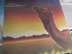 Camel - Nice Lot with 8 great albums of UK Symphonic Prog, Cd's en Dvd's, Nieuw in verpakking