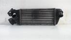 Intercooler radiateur     1571121078, Auto-onderdelen, Motor en Toebehoren, Ophalen of Verzenden, Gebruikt, Fiat