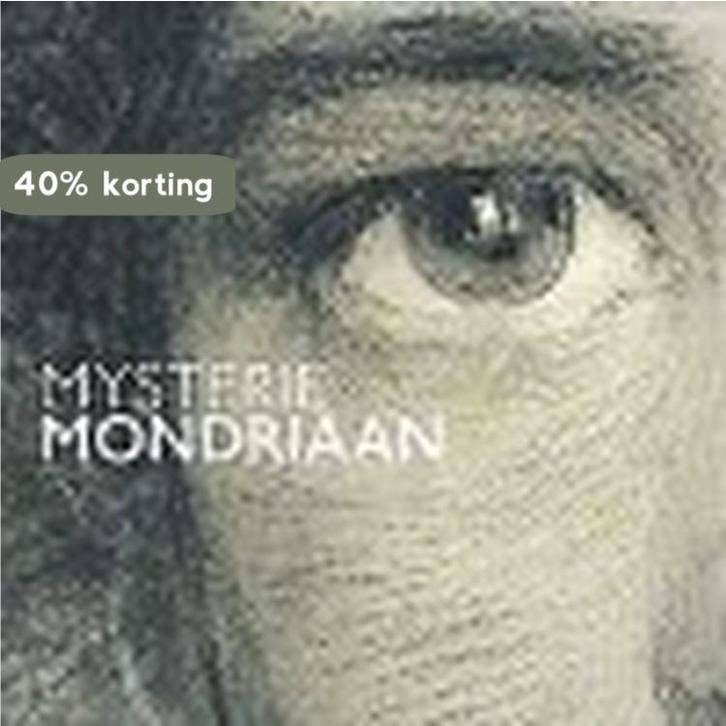 Mysterie Mondriaan 9789462622203 Marjan van Heteren, Boeken, Kunst en Cultuur | Beeldend, Gelezen, Verzenden