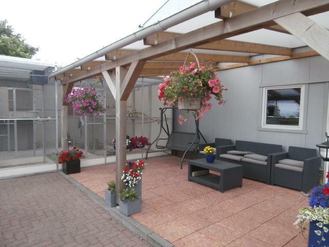 Scherpste bovenbouw pakketten polycarbonaat heel nederland, Tuin en Terras, Overkappingen, Nieuw