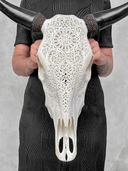 Geen reserveprijs - Authentieke grote witte stierenkop -, Antiek en Kunst, Kunst | Designobjecten