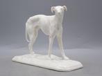 Nymphenburg - After Pierre Jules Mène - Figuur - Greyhound -