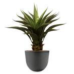 Agave Vetplant kunstplant, H70cm, Huis en Inrichting, Kamerplanten, Ophalen of Verzenden