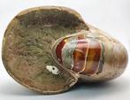 Grote 2,94 kg iriserende Nautilus - Fossiel rugschild, Verzamelen, Mineralen en Fossielen