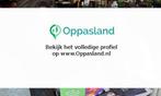Nancy zoekt een oppas in Hoofddorp., Vacatures