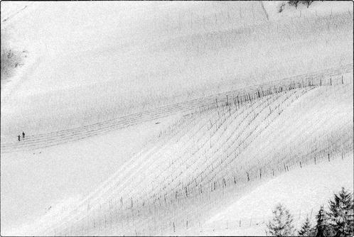 Franco Turcati - Langhe inverno (606), Antiek en Kunst, Kunst | Schilderijen | Modern