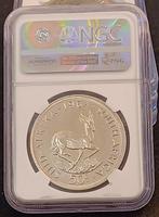 Zuid-Afrika. 50 Cent 1964 Proof Springbok Jan Van Riebeck