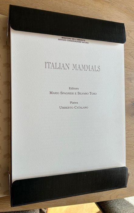 Mario Spagnesi / Silvano Toso / Umberto Catalano - Italian, Antiek en Kunst, Antiek | Boeken en Bijbels