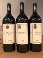 2022 San Leonardo, Terre - Trentino IGT - 3 Magnums (1.5L), Nieuw