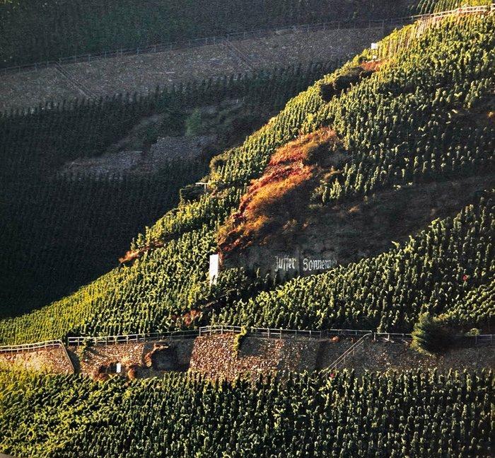 2005 Fritz Haag Brauneberger Juffer Sonnenuhr Riesling -, Verzamelen, Wijnen