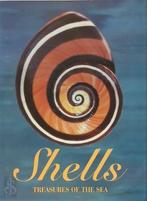 Shells, Nieuw, Verzenden