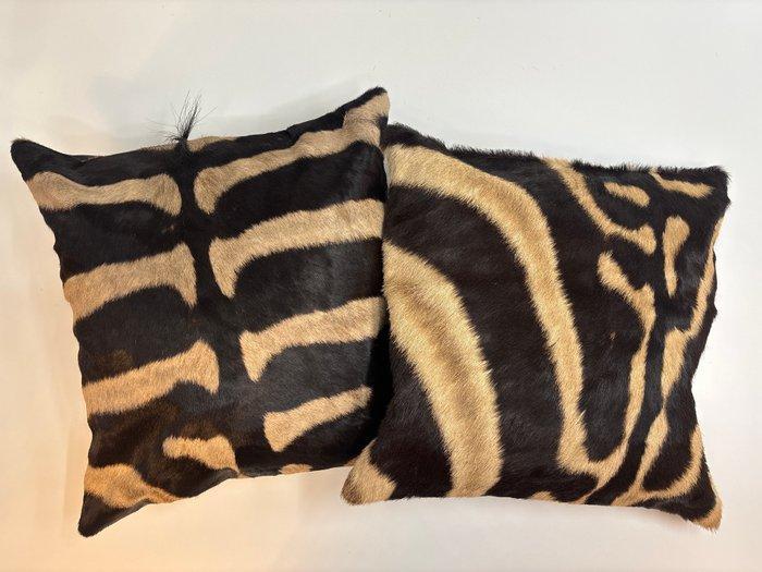 Zebra Balg - Equus quagga - 40 cm - 40 cm - 1 cm -, Antiek en Kunst, Curiosa en Brocante