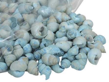 Umachi Schelpen Blauw 500 gram, Hobby en Vrije tijd, Knutselen, Nieuw, Ophalen of Verzenden