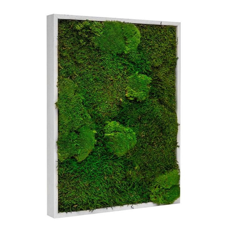 Vintlux Mosschilderij Lappenmos-Bolmos Gebroken Wit - Boras, Huis en Inrichting, Woonaccessoires | Wanddecoraties