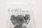 Kaws (1974) - Small Lie Black 2017