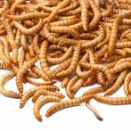 Premium kwaliteit gedroogde Meelwormen (Tip), Dieren en Toebehoren, Dierenvoeding, Overige soorten, Verzenden