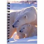 Notitieboekje 3d ijsbeer blanco NIEUW, Nieuw, Ophalen of Verzenden