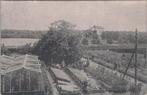HOENDERLOO - Moestuin - Stichting Hoenderloo, Verzenden, Gelopen