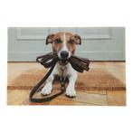 deurmat humor jack russell 75x50cm, Verzenden, Nieuw