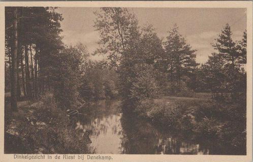 DENEKAMP - in de Riest bij Denekamp, Verzamelen, Ansichtkaarten | Nederland, Verzenden