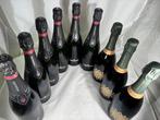 Cantine Ferrari, Marcato, 6x Ferrari Maximun Blanc De Blancs, Verzamelen, Wijnen, Nieuw