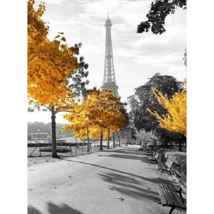 Evershine diamond painting voor volwassenen Eiffel toren, Huis en Inrichting, Woonaccessoires | Schilderijen, Tekeningen en Foto's
