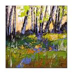 Olivier Pfleger - A la lumière du sous-bois