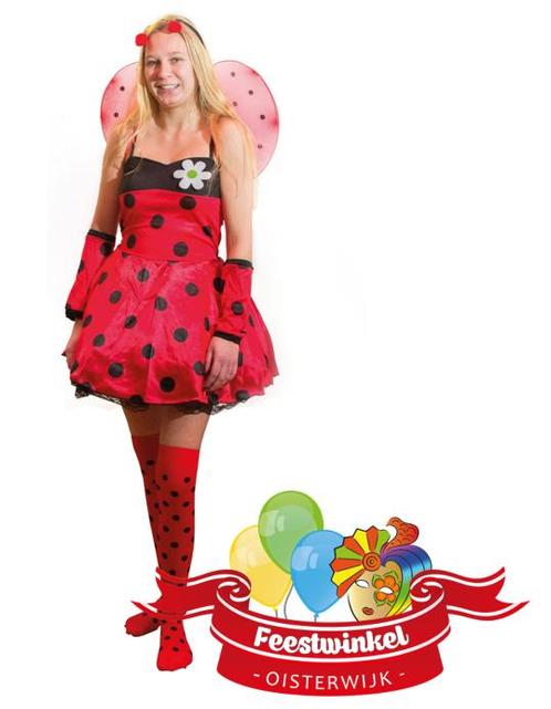 Lieveheersbeestje-M, Kleding | Heren, Carnavalskleding en Feestkleding